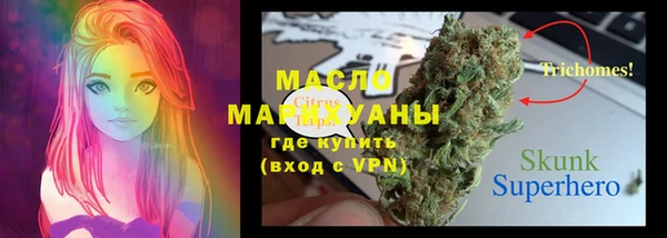 круглые Вяземский