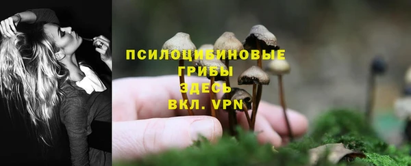 сатива Вязьма