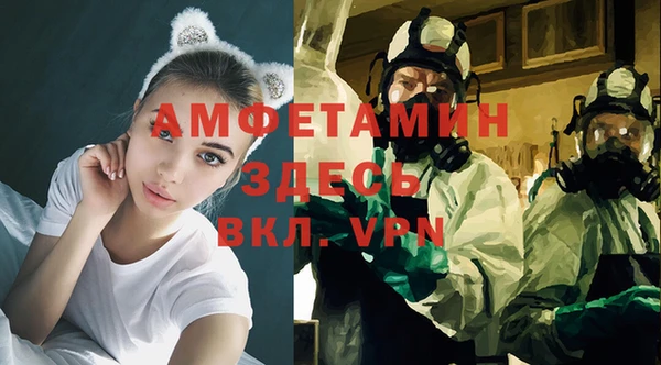 сатива Вязьма