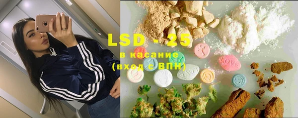 сатива Вязьма