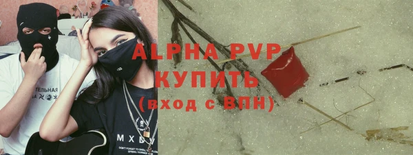 сатива Вязьма
