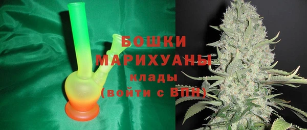 сатива Вязьма