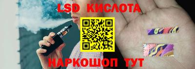 a pvp Камышлов
