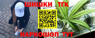 a pvp Камышлов
