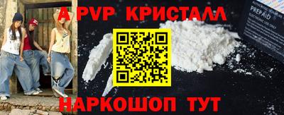 a pvp Камышлов