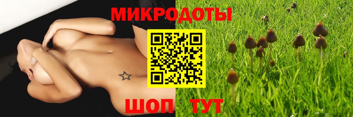 Сочи  Псилоцибиновые грибы Psilocybine cubensis  Вход с VPN 