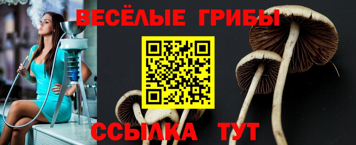 Галлюциногенные грибы прущие грибы Сочи